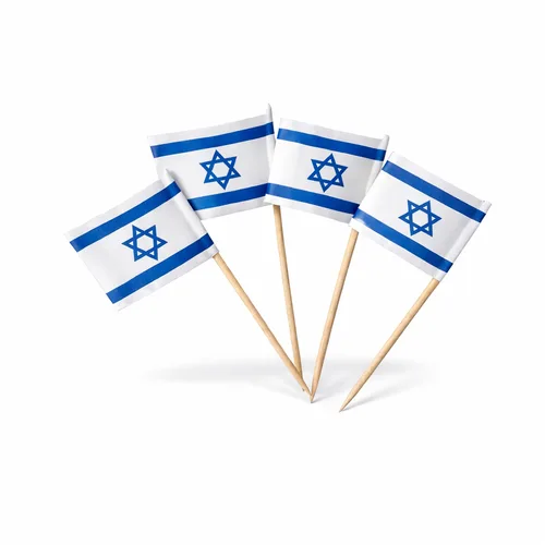 קיסמי דגלים-100 יחידות